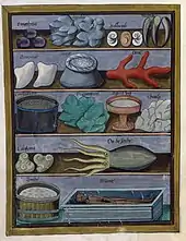 Tableau divisé en cinq étagères sur lesquelles sont disposés plusieurs produits minéraux et organiques (coquillages, corail, seiche vivante) sous forme brute ou contenus dans des sacs, des coupes ou des baquets ; en bas à droite, une momie dans un cercueil.