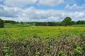 Le bocage, près de Couzon, dans le nord.