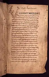 Une page d'un manuscrit rédigé sur une colonne en petites lettres noires. La première lettre est un grand U composé de deux animaux fabuleux
