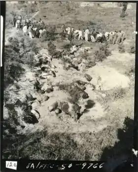 Image illustrative de l’article Massacre de la ligue Bodo