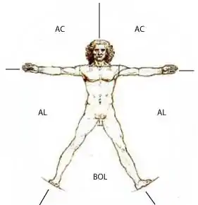 Zones du corps.