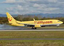 Boeing 737-8K5 de TUIfly en 2008.