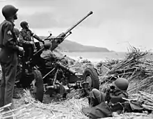Artilleurs américains protégeant une plage d'Alger en 1943.