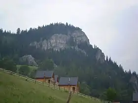 Boge (Peć)