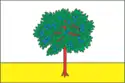 Drapeau de Bohodoukhiv