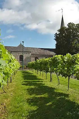 Image illustrative de l’article Vignoble de Bretagne