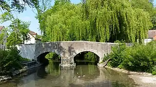 Pont médiéval sur la Bionne