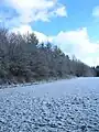 Lisière du Bois de Saône sous la neige.