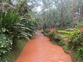 Région du Centre (Cameroun)