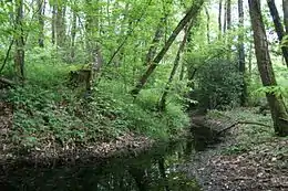 Site archéologique du bois de Montbourcher