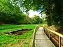 Photographie en couleurs d’une passerelle en bois longeant un lavoir, dans un sous-bois.