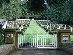 Cimetière militaire français du Bois-de-Maettle.