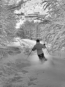 Photo en noir et blanc d'un homme vu de dos faisant du ski dans la poudreuse.