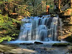 Cascade sur le ruisseau des Abyssines.