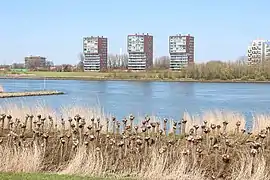 Bâtiments longeant la Nouvelle Meuse, sur Maasboulvard.