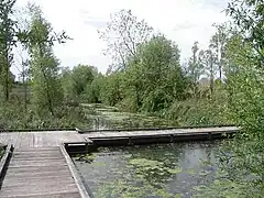 Le marais de Bonnance.