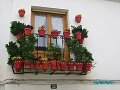 Balcon fleuri