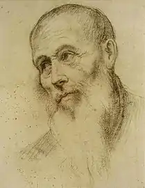 Tête d'homme barbu, XVIe siècle   Bonifazio Veronese