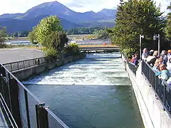 Échelle à poisson au barrage de Bonneville