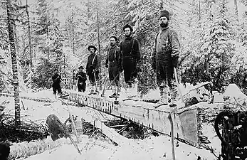 Booth lumber camp, Aylen Lake Ontario, 1895. Six hommes ou plus équarrissent un tronc là où il est tombé dans le bois.