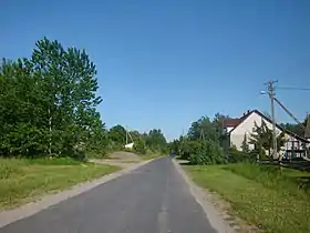 Bór (Opole Lubelskie)