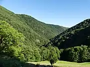 Le ravin de la Boralde Flaujaguèse en aval de l'abbaye de Bonneval.