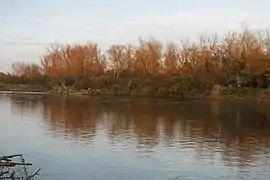 Vue des bords de l'Allier au coucher du soleil en hiver. (Réserve naturelle nationale du val d'Allier).