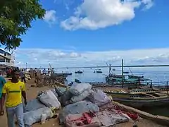 Le bord de mer de Lamu.