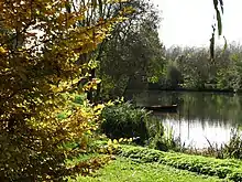 Bord du Loir en automne.