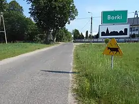 Borki (Mińsk)