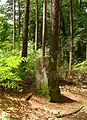 Borne frontière entre la France et l'Allemagne  datant de 1830, forêt de Carling, près de la route de Creutzwald.