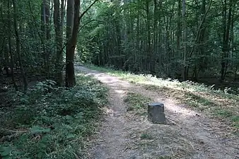 Borne fleurdelysée au milieu d'un sentier (au niveau de la parcelle 19 ; la rigole passe à droite).