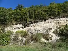 Borrèze : coteau au bord de la RD 62, à l'ouest de la Pouyade.