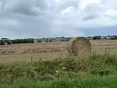 Boëseghem, le vallon de la Becque du Dah.