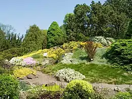 Photo d'un jardin botanique sur une petite colline, très coloré.