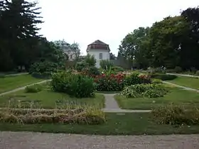 Image illustrative de l’article Jardin botanique de l'université de Vienne