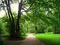 Vue d'une allée du jardin