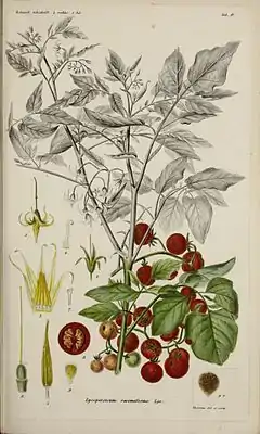 Description de l'image Botanisk tidsskrift (17645191178).jpg.