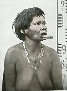 Femme botokuden (Brésil) labret de la lèvre inférieure vers 1900.