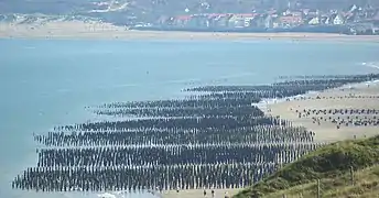 Baie de Wissant de la Côte d'Opale du Pas-de-Calais