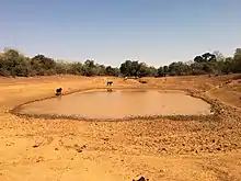 Photographie d'un bouli (une réserve d'eau) situé au Burkina Faso