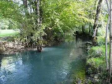 Le Boulou, à côté du Moulin de Fontas, en limite de Bourdeilles (à gauche) et de Creyssac. Vue prise vers l'aval.