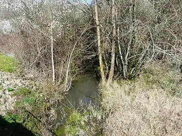 Le Boulou à La Chapelle-Montmoreau.