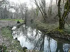 Le Boulou au lieu dit la Forge du Boulou, à Paussac-et-Saint-Vivien.