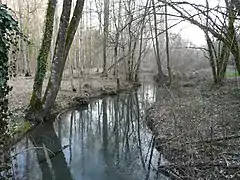 Le Boulou au lieu dit la Forge du Boulou, à Paussac-et-Saint-Vivien.