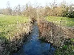 Le Boulou au lieu-dit le Moulin des Guichards à Paussac-et-Saint-Vivien.