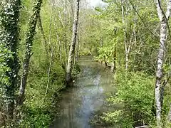 Le Boulou, en amont du pont de la route départementale 106, en limite de Creyssac (à gauche) et de Bourdeilles.