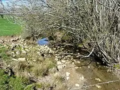 Près du lieu-dit les Brageaux, ZNIEFF du Boulou amont.