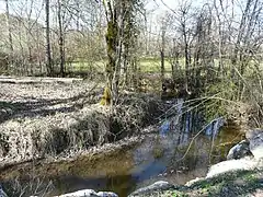 Près du lieu-dit le Meyrat, ZNIEFF du Boulou aval.