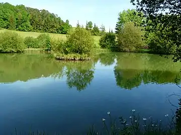 L'étang supérieur du Moulin blanc alimenté par la Crempsoulie.